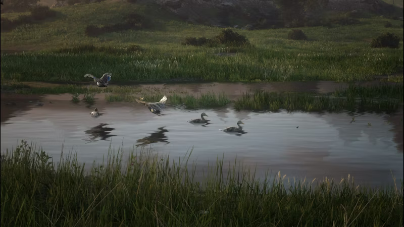 Screenshot from Feathers in the Fog