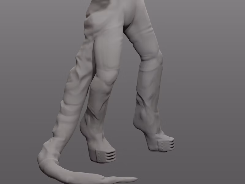 3D Model of the morphed body parts