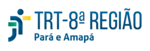 TRT Da 8ª Região 