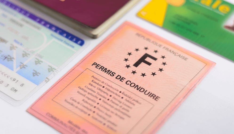 ancien permis de conduire 3 volets roses