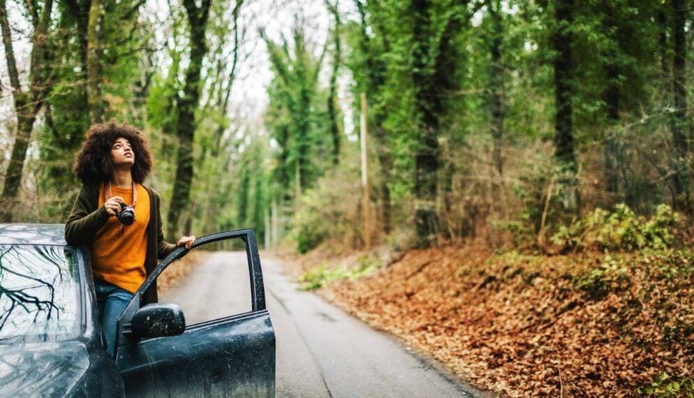 voiture forêt