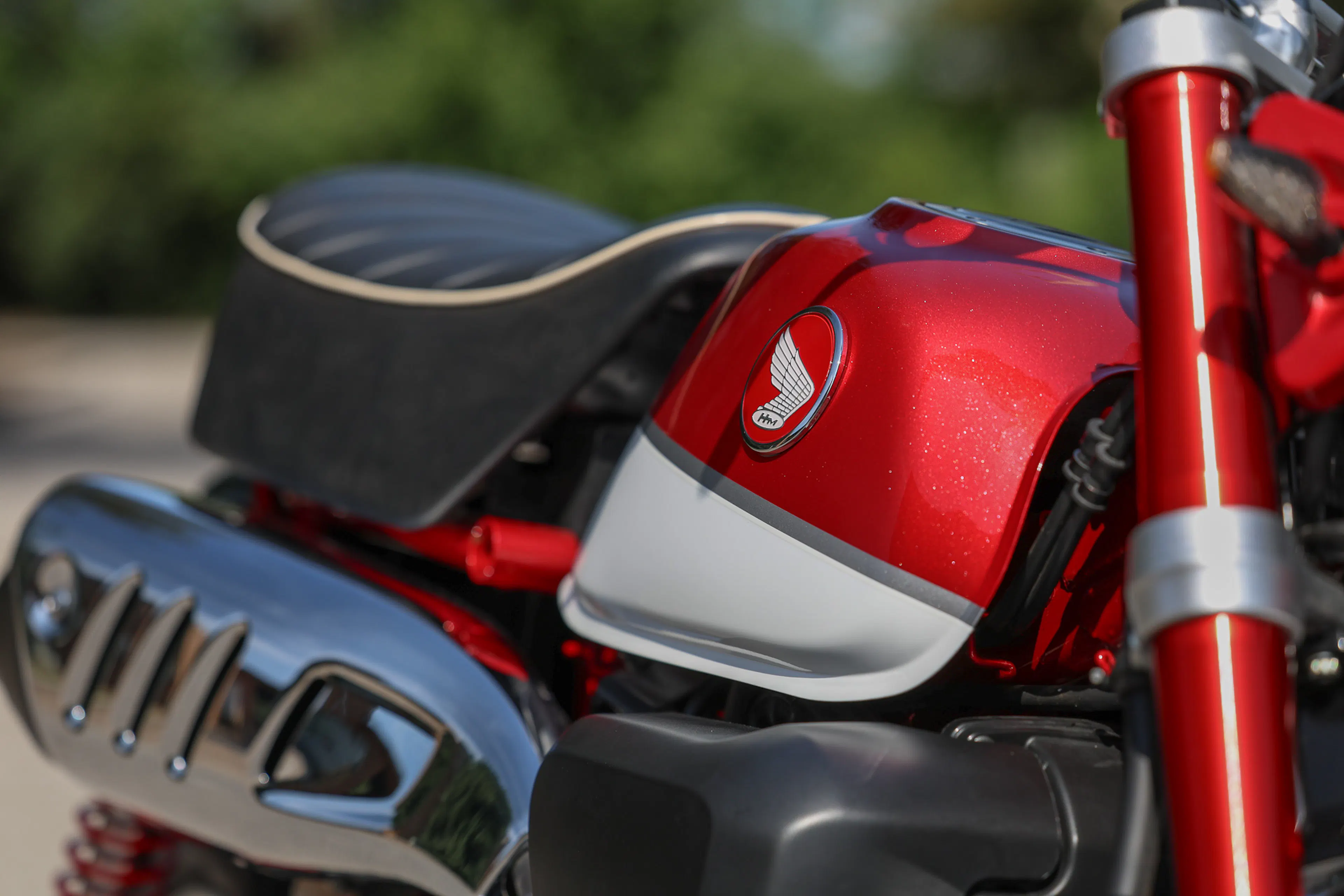 2019 Honda Monkey right tank side