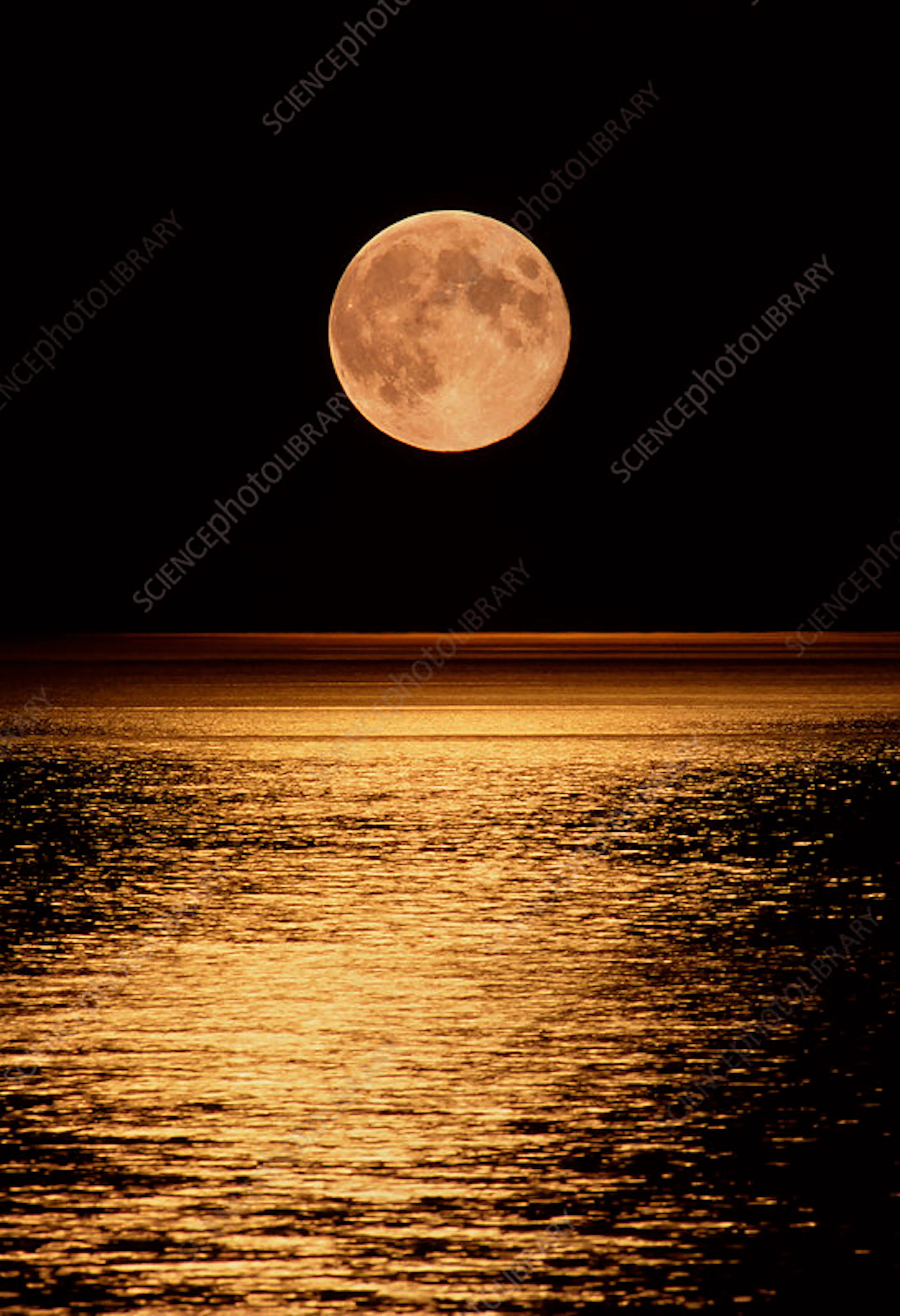 Moonrise over water, portrait orientation