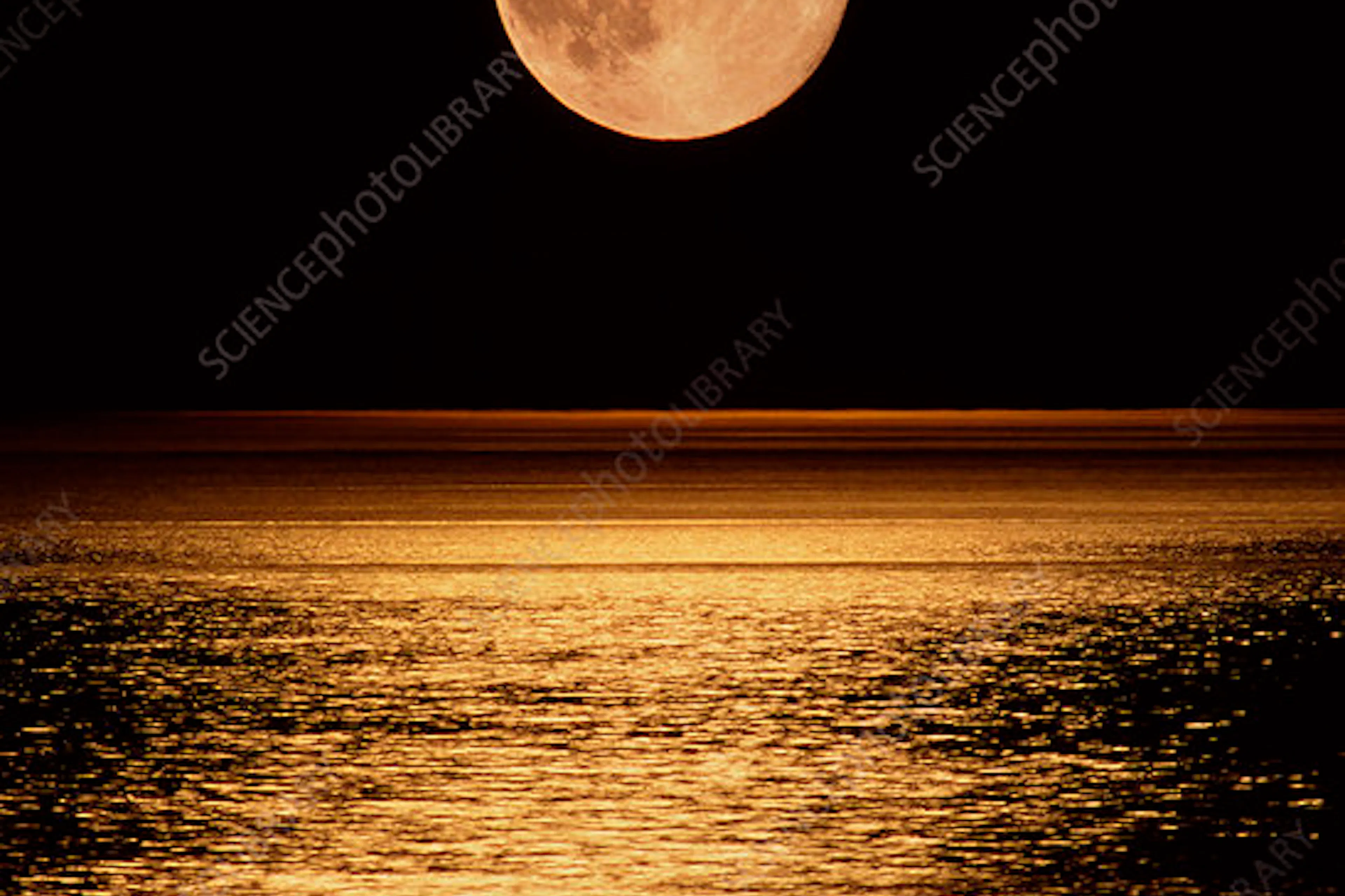 Moonrise over water, portrait orientation