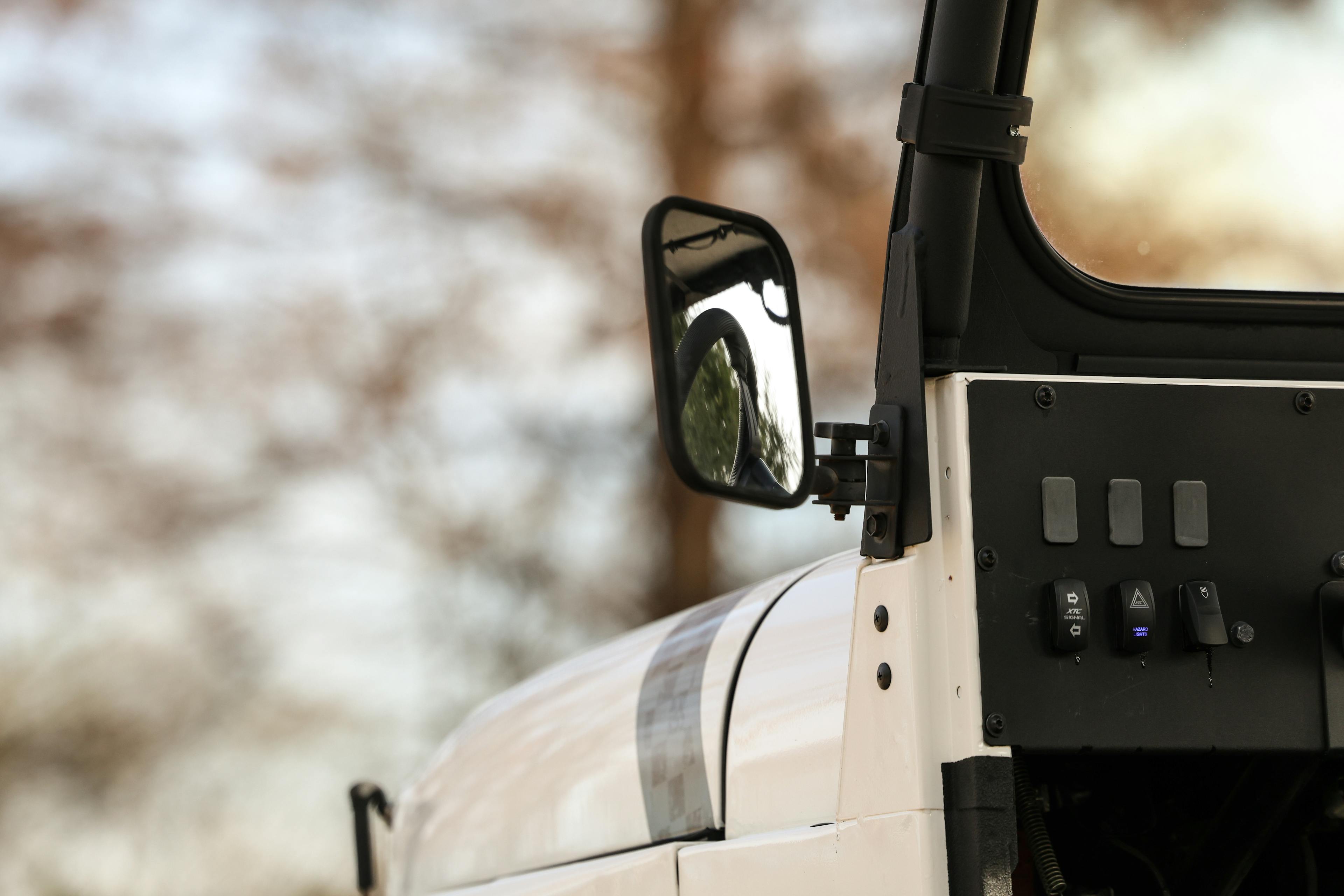 2018 Mahindra Roxor LE driver mirror