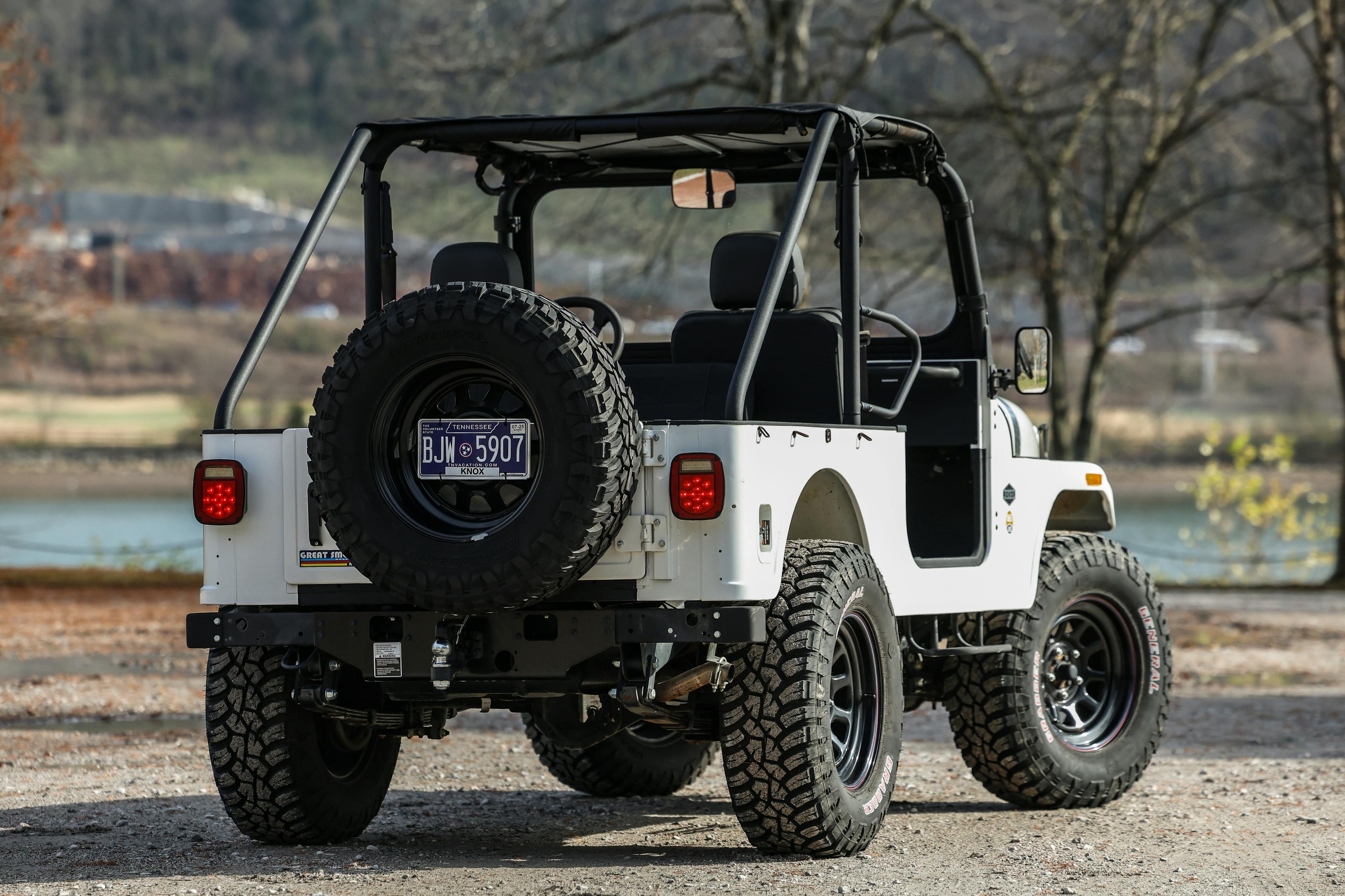 2018 Mahindra Roxor LE passenger rear 3/4