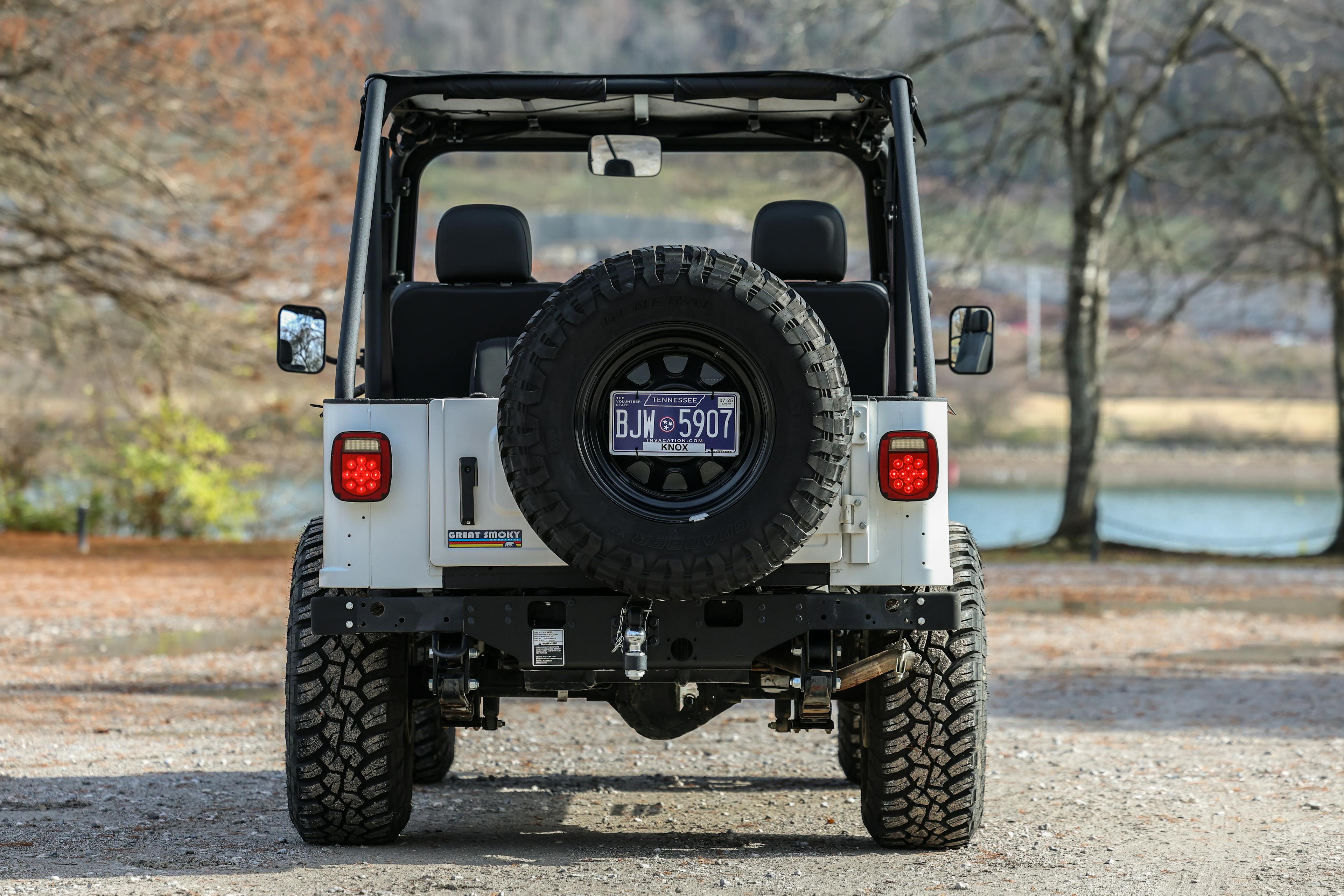 2018 Mahindra Roxor LE rear