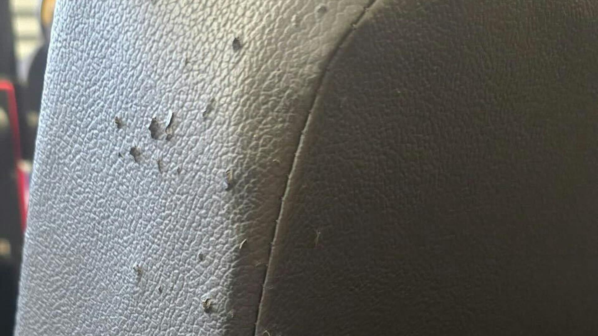 2022 Mahindra Roxor passenger seat damage 2