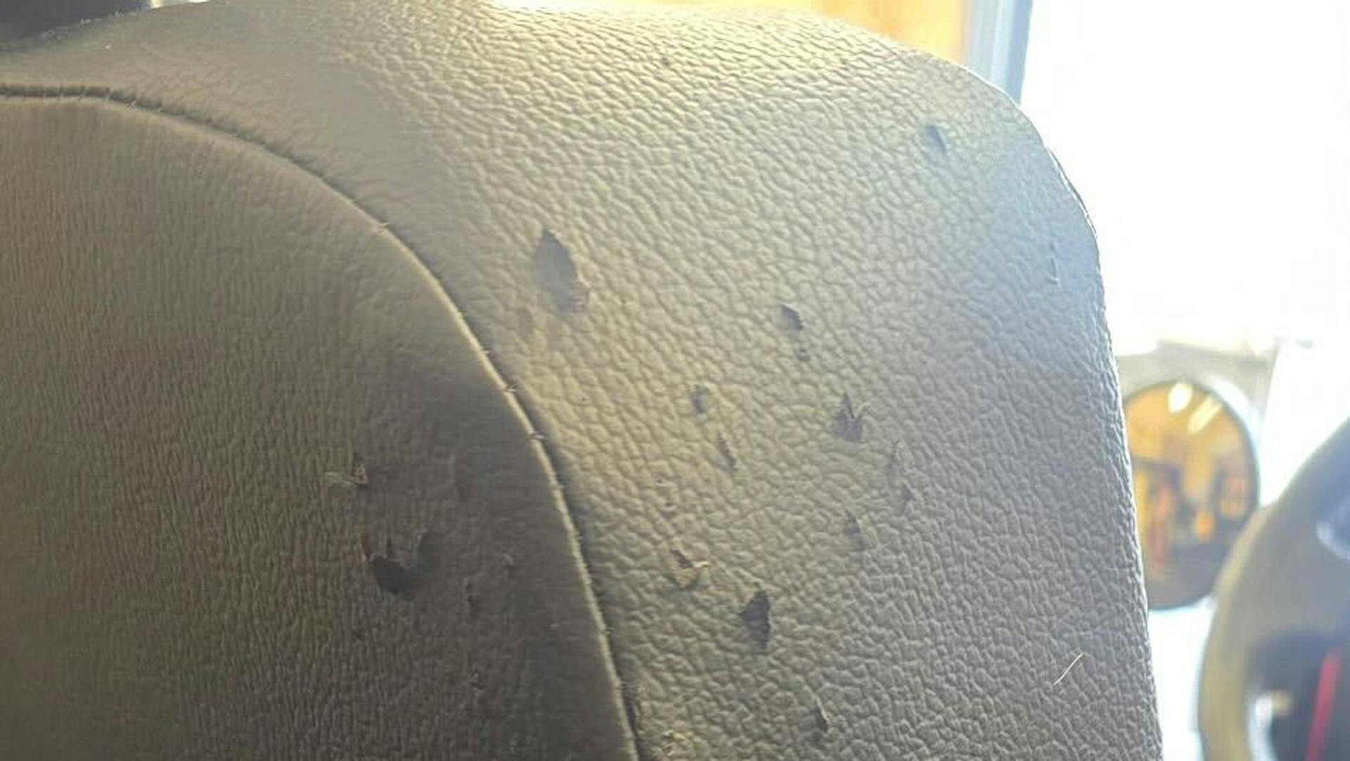 2022 Mahindra Roxor driver seat damage 1
