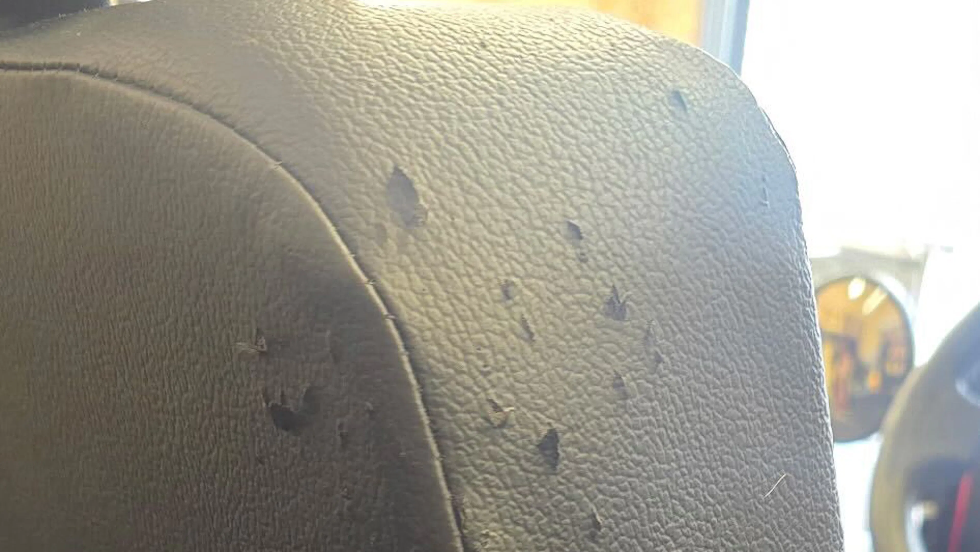 2022 Mahindra Roxor driver seat damage 1