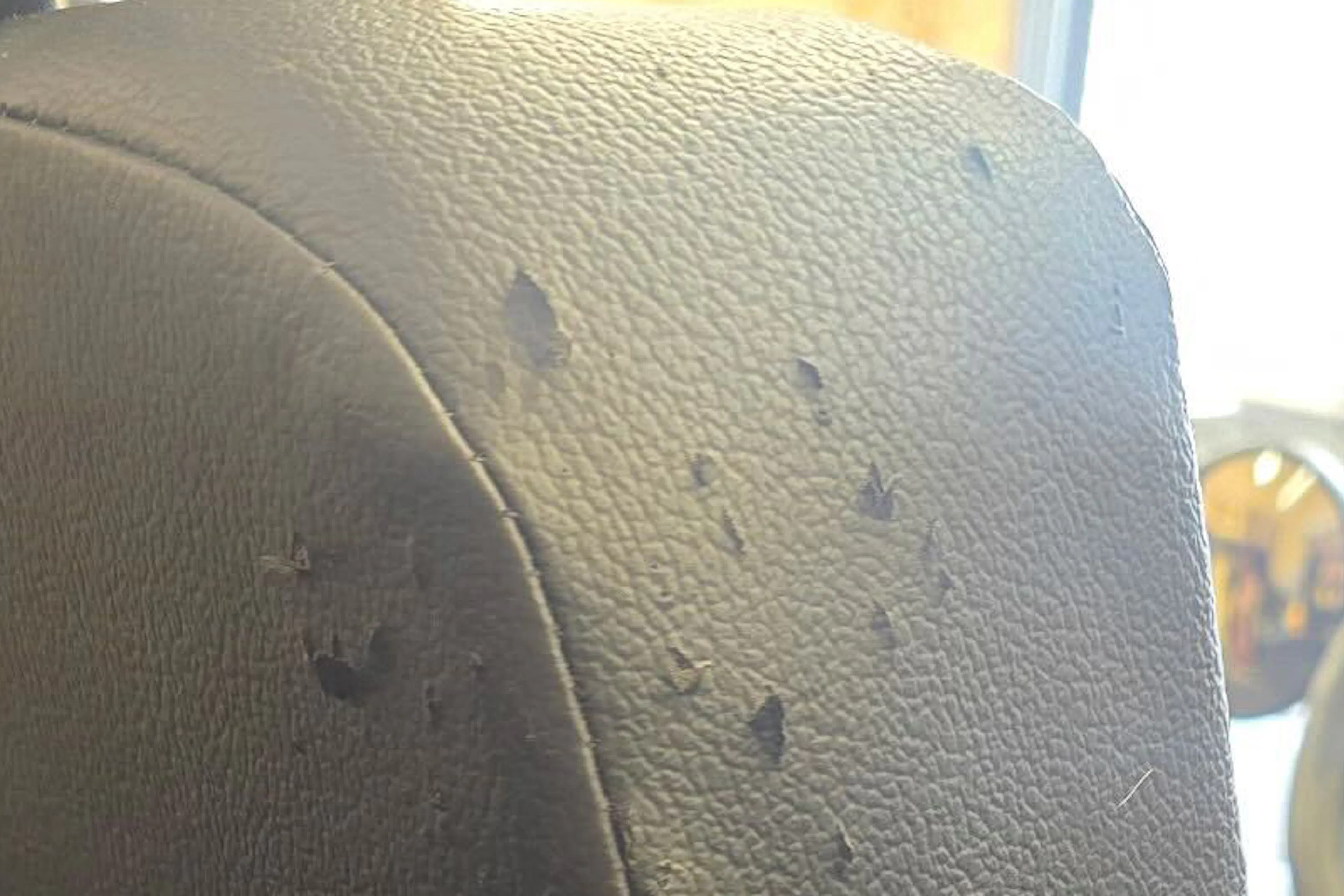 2022 Mahindra Roxor driver seat damage 1