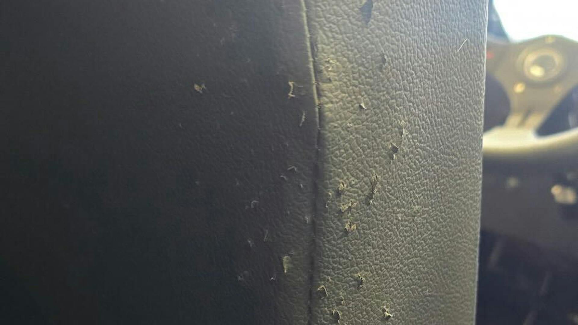 2022 Mahindra Roxor driver seat damage 2