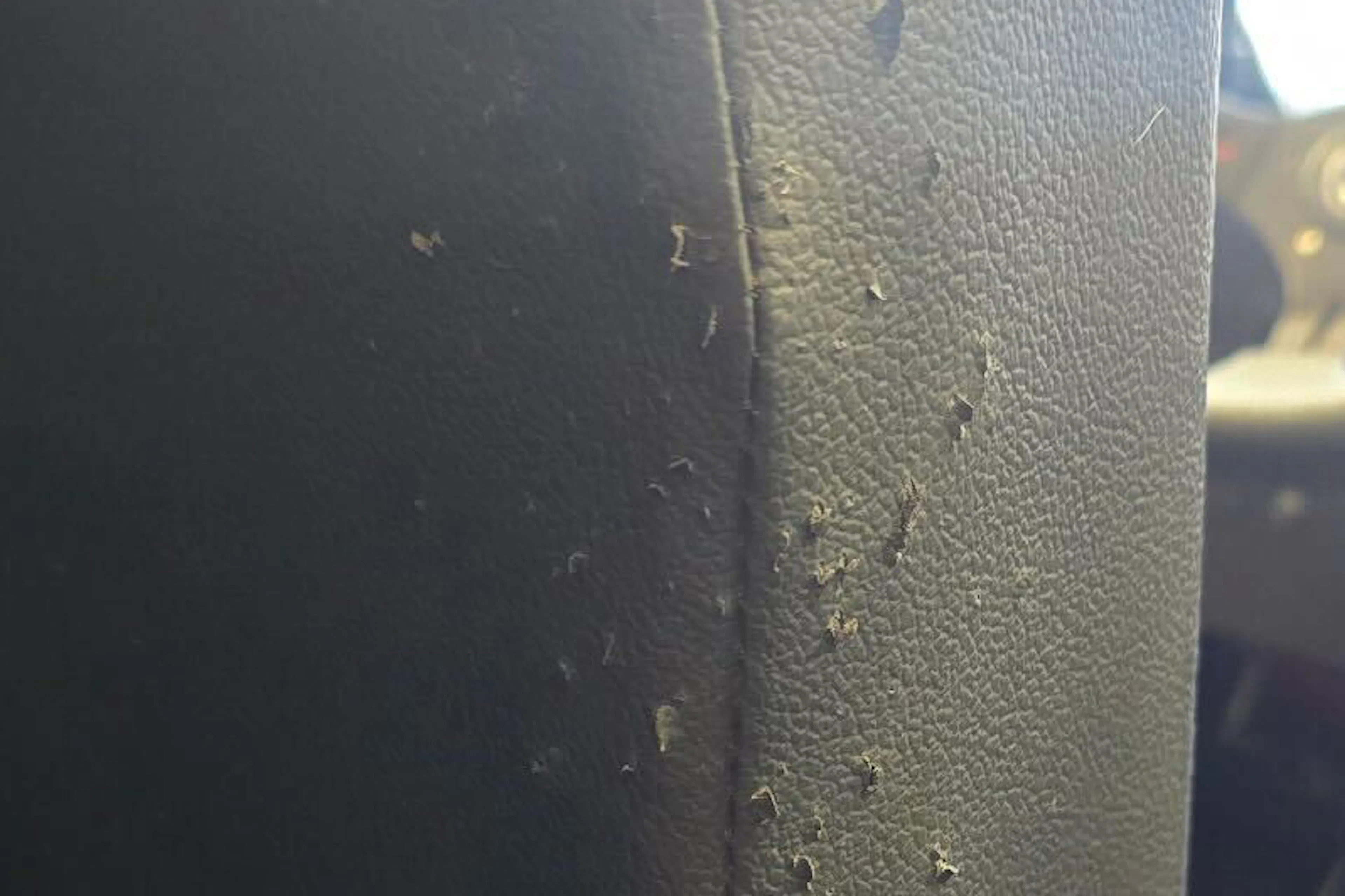 2022 Mahindra Roxor driver seat damage 2