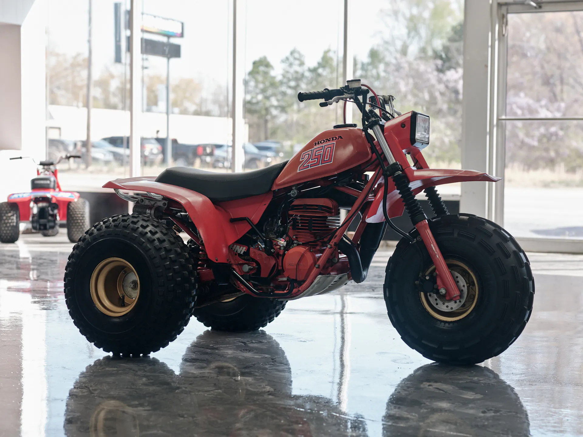 1982 Honda ATC 250R front left side wide