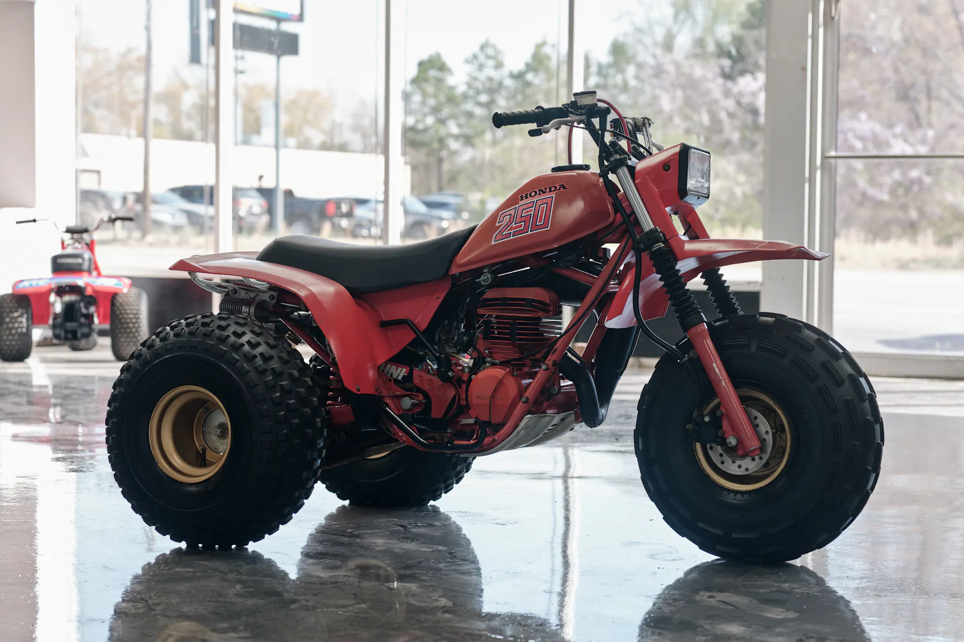 1982 Honda ATC 250R front left side wide