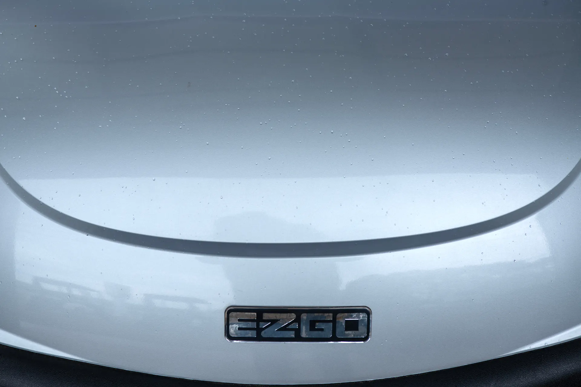 2020 E-Z-Go RXV Silver badge close