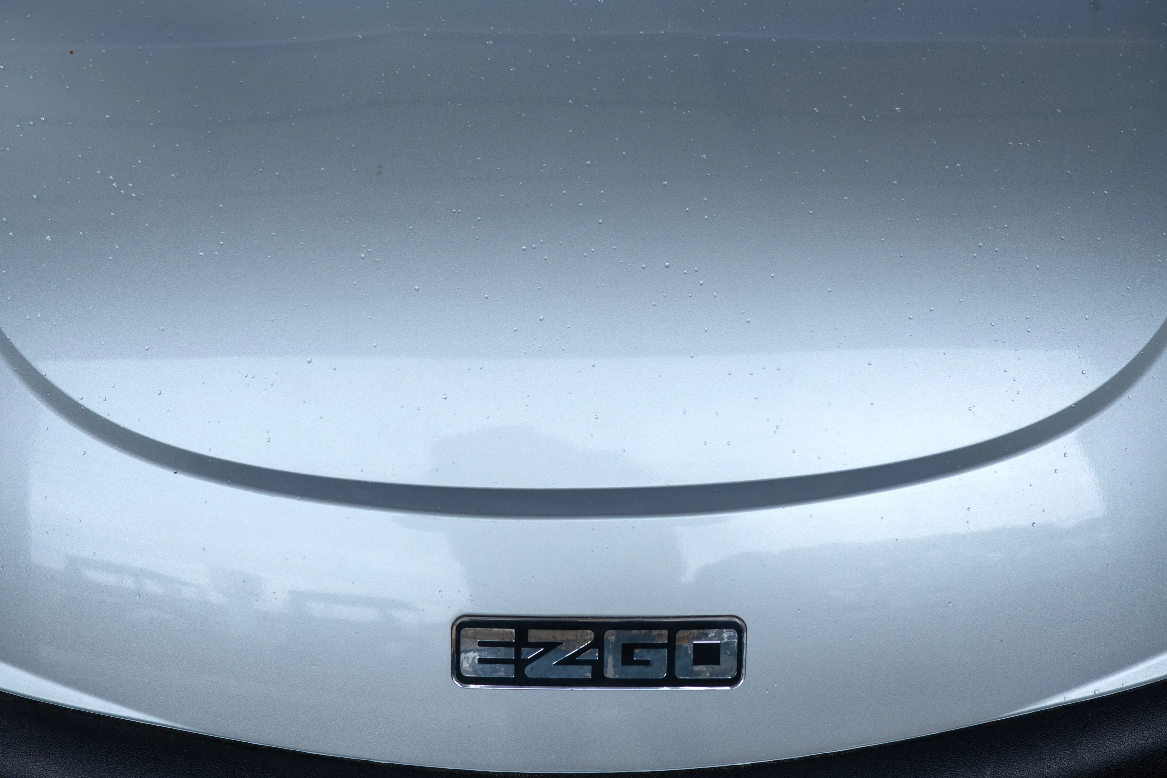 2020 E-Z-Go RXV Silver badge close