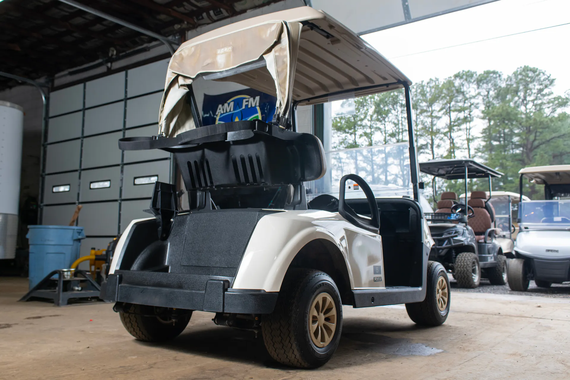 2020 Ez-Go RXV passenger rear 3/4