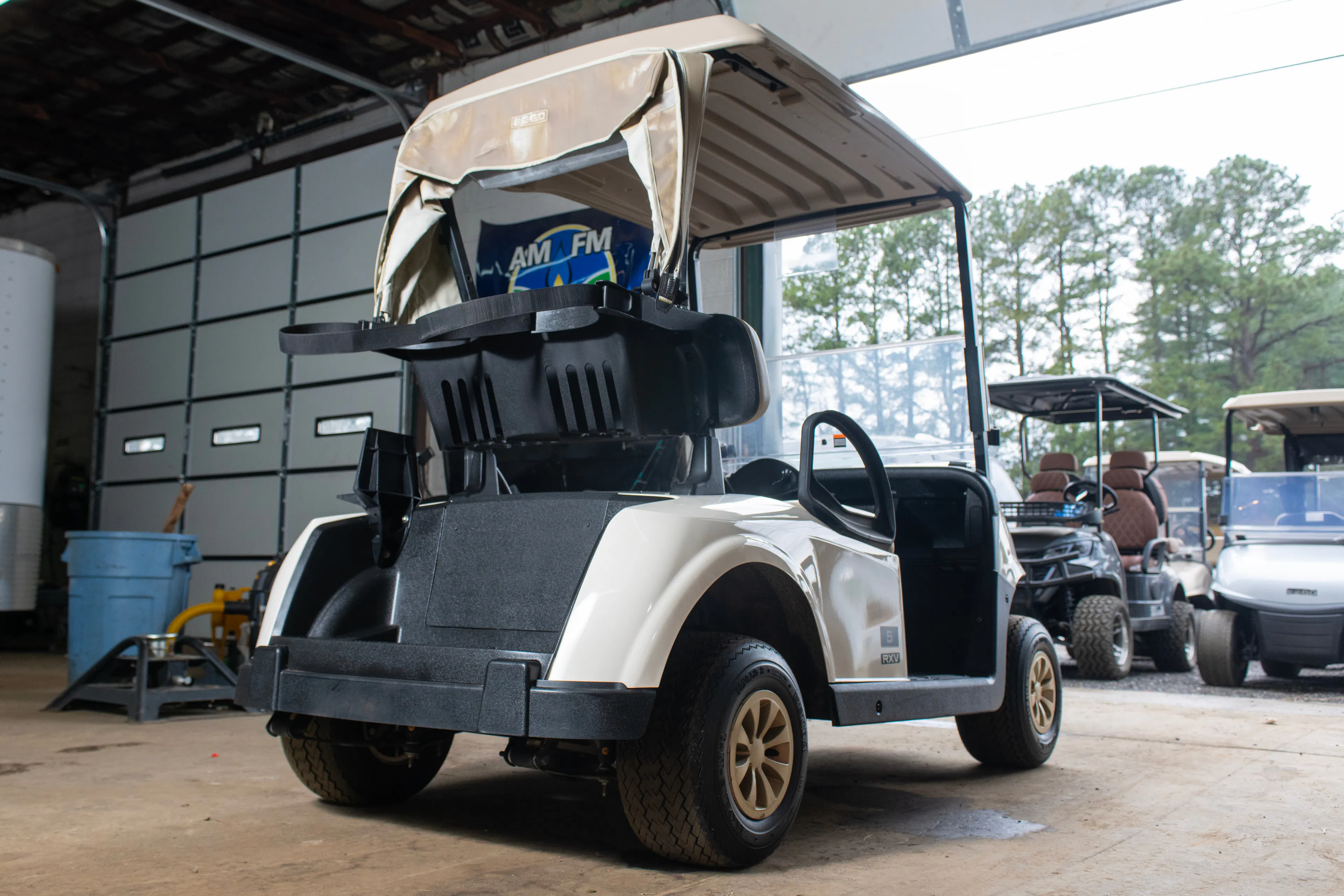 2020 Ez-Go RXV passenger rear 3/4