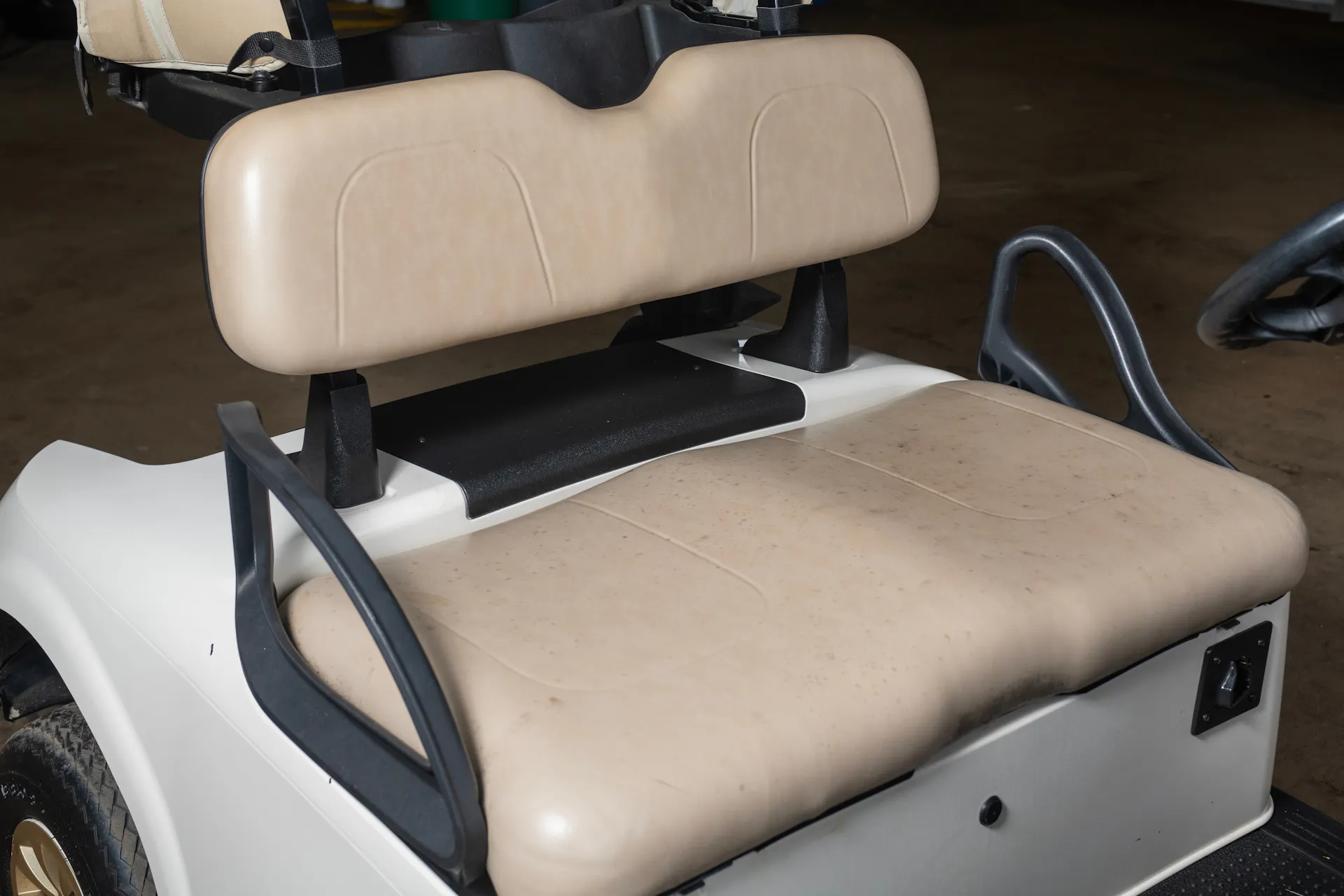 2020 Ez-Go RXV seat 2