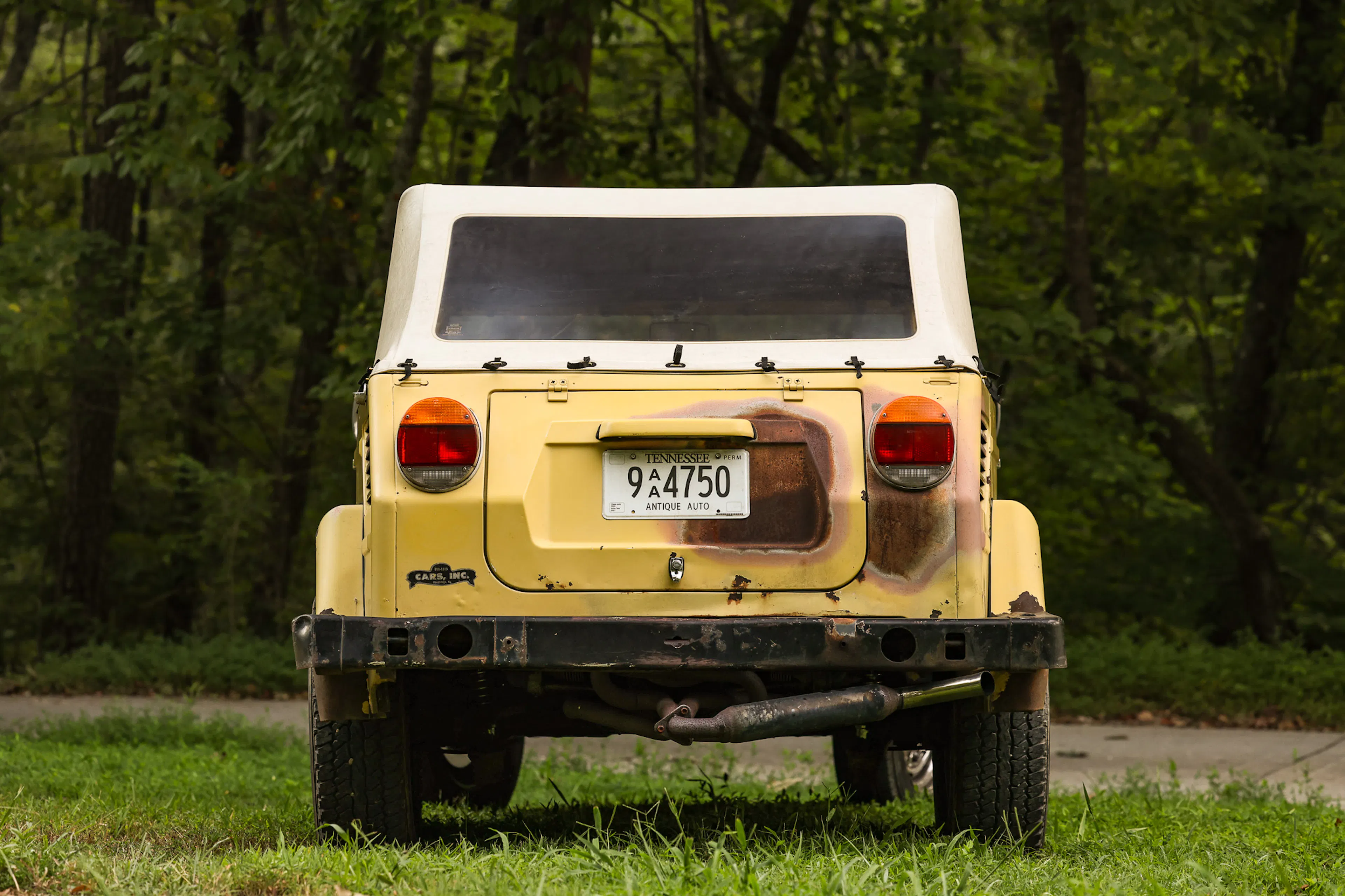 1973 Volkswagen Thing rear