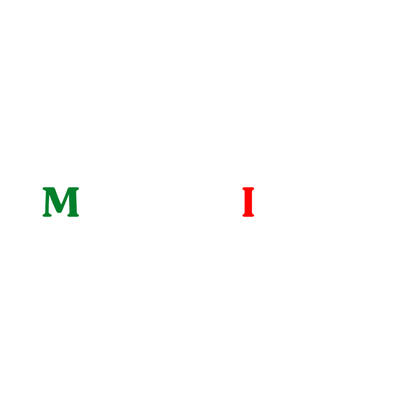 Logo Made In Italy Progettazione