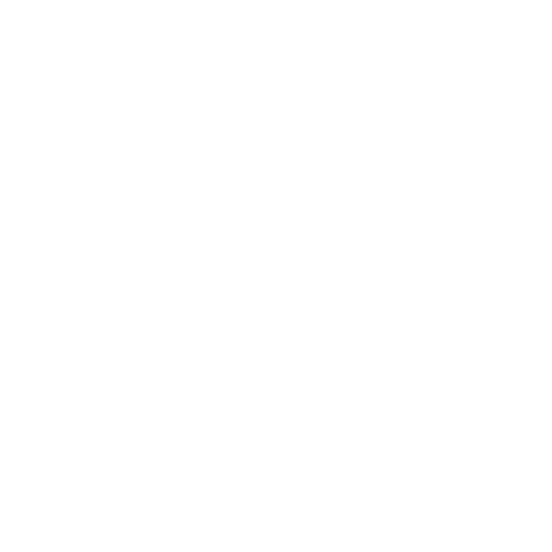 Logo New Light System Luci ed Effetti