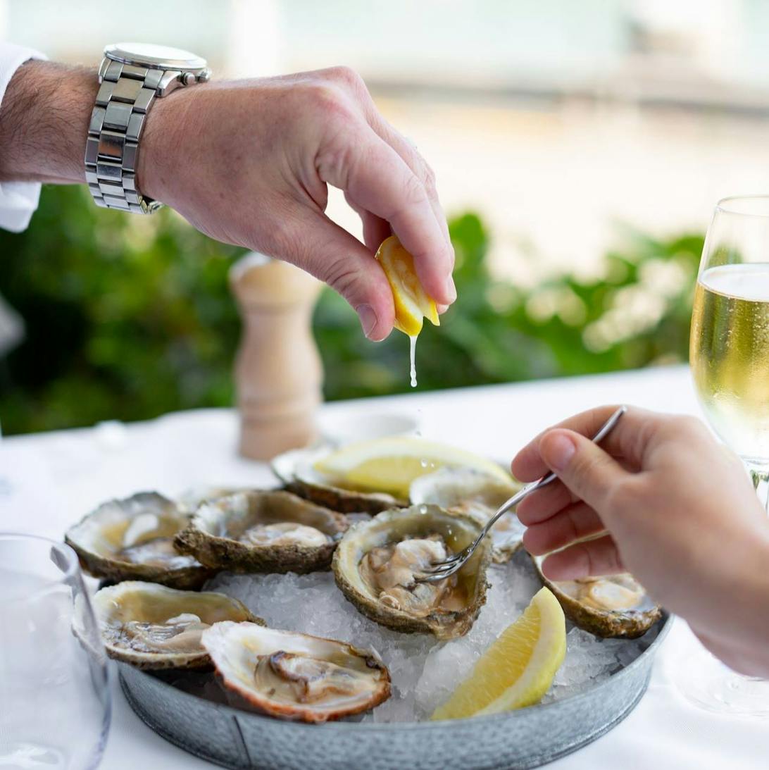 Where To Eat Oysters In Auckland Dish Cult