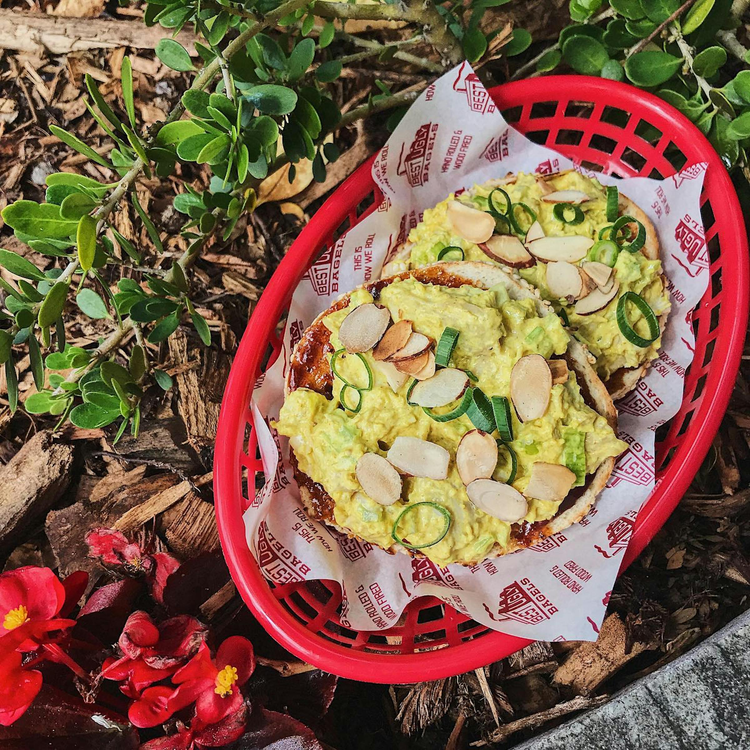 Best New Ugly Bagels Dish Cult