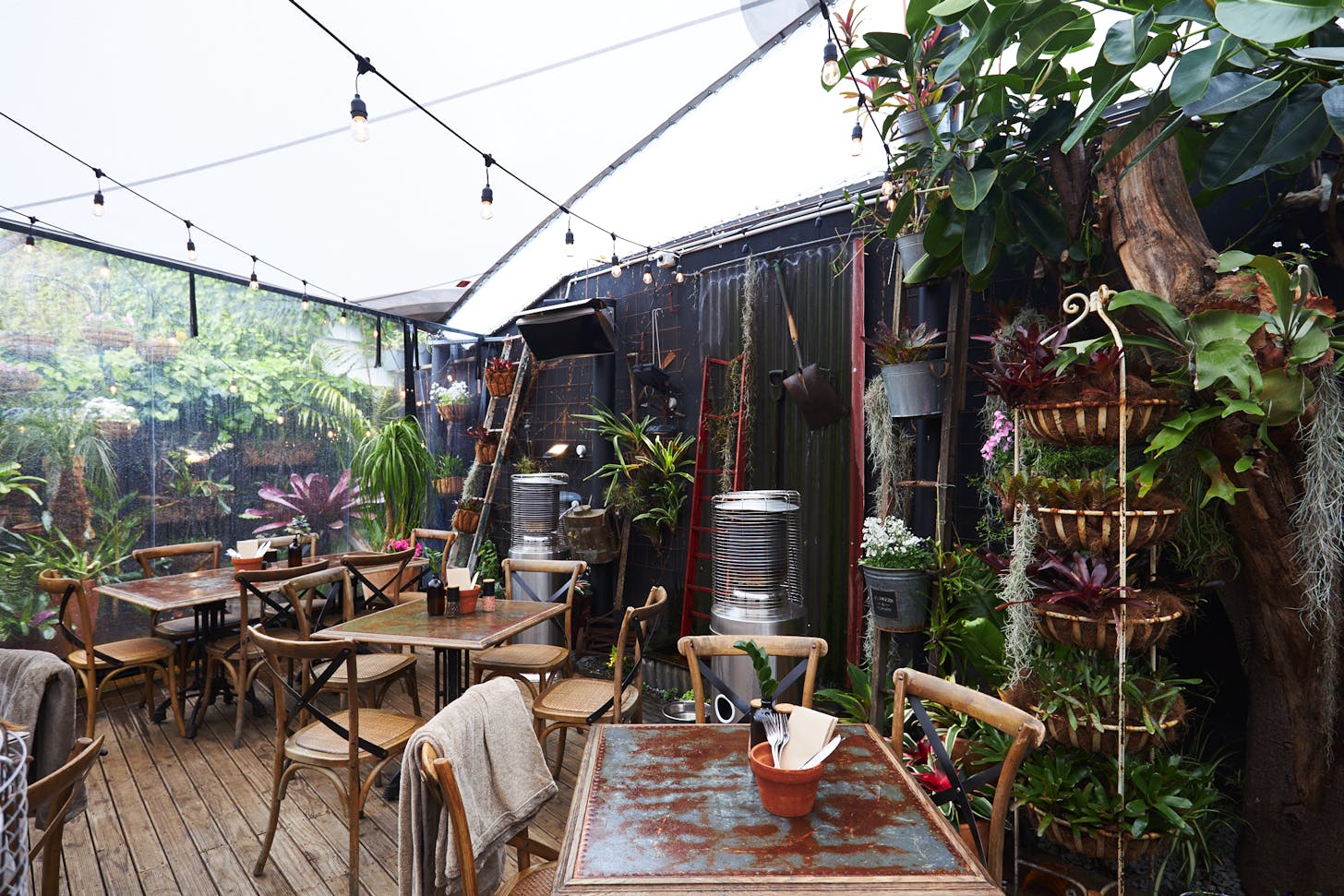 The Best DogFriendly Restaurants in Auckland Dish Cult