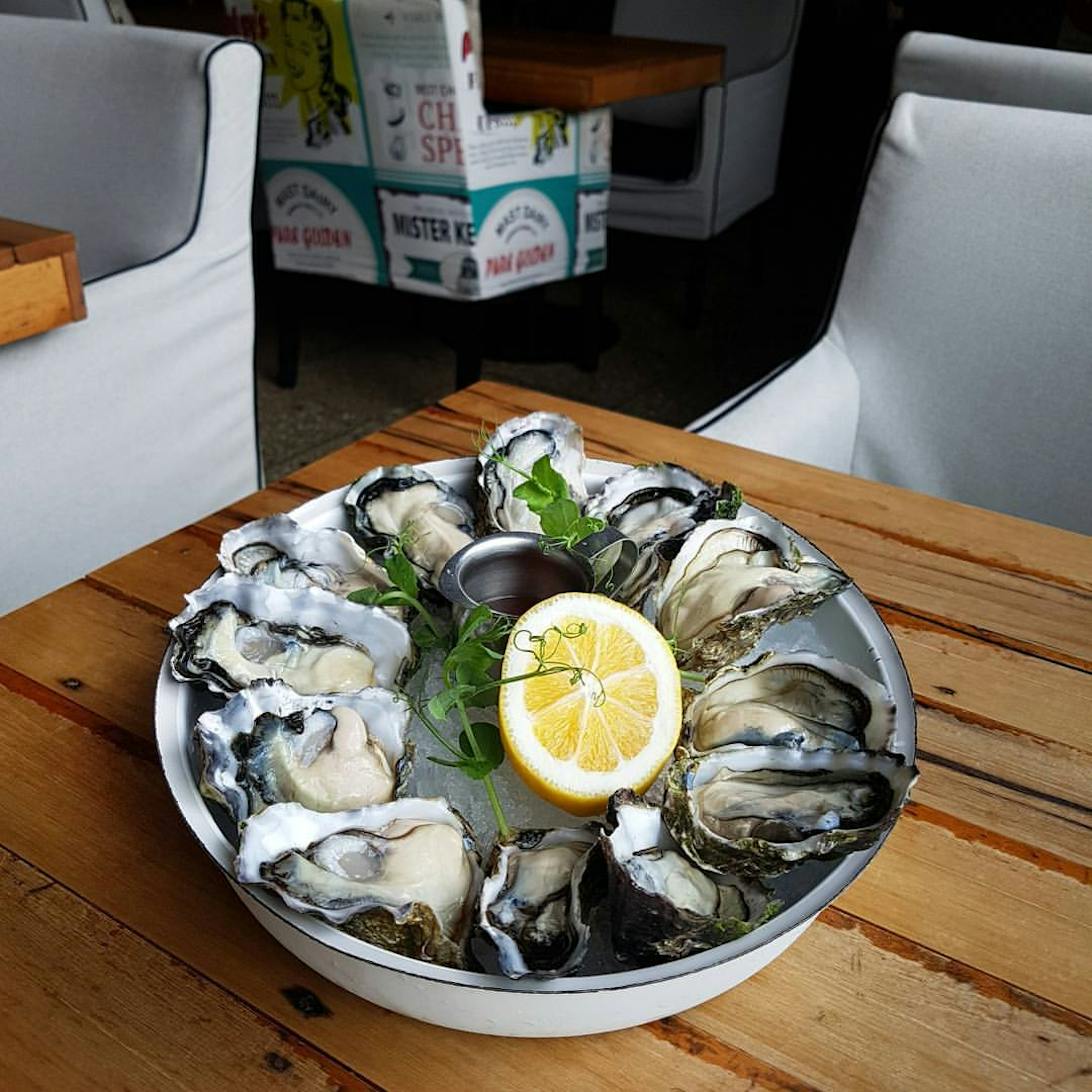 Where To Eat In Auckland This Bluff Oyster Season | Dish Cult