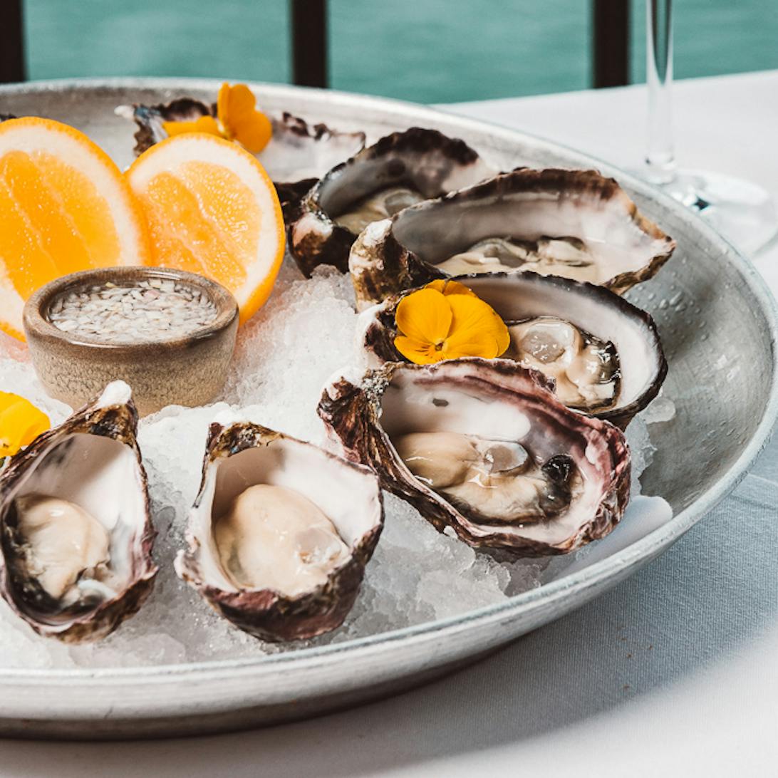 Where To Eat In Auckland This Bluff Oyster Season Dish Cult