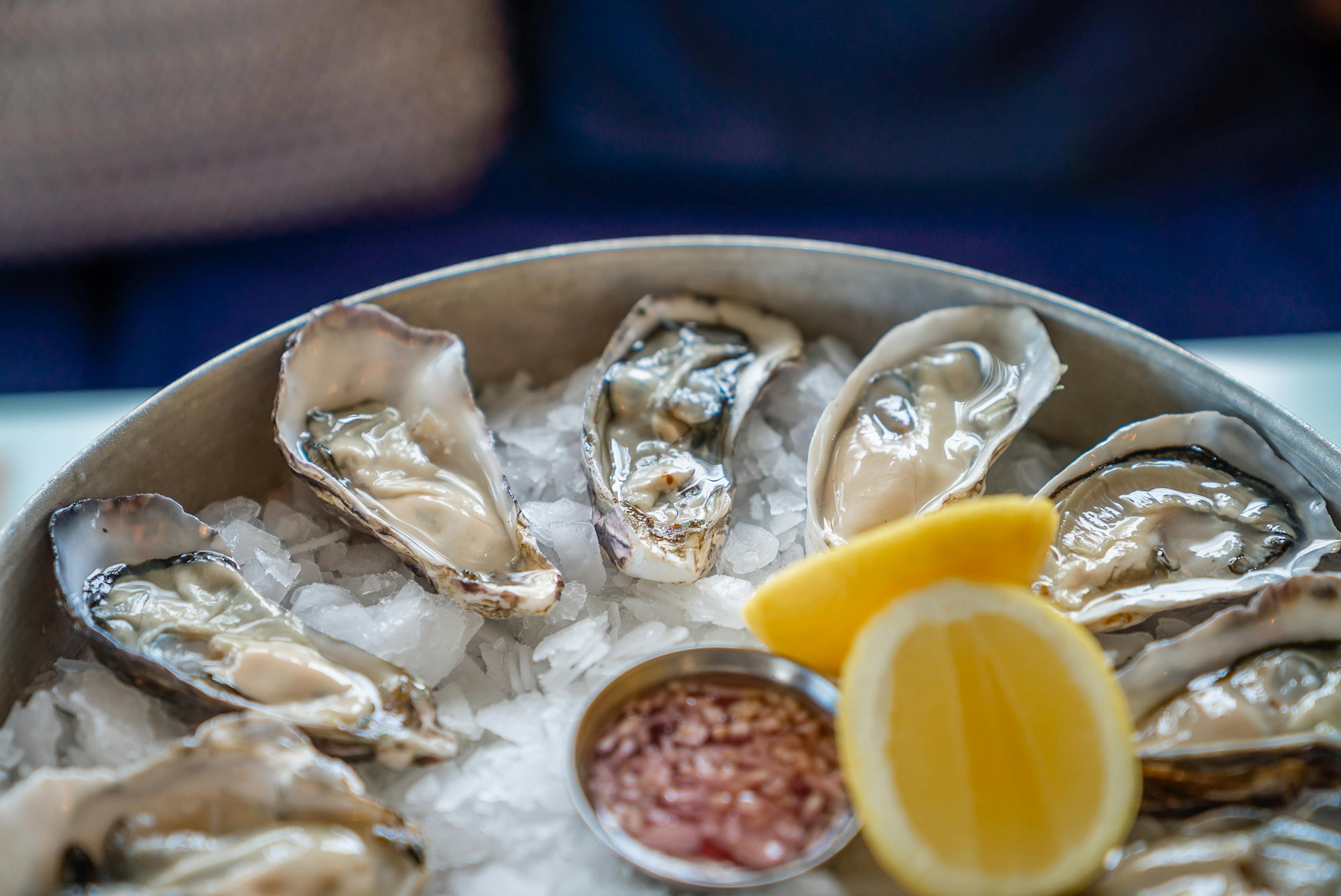 Where To Eat In Auckland This Bluff Oyster Season Dish Cult