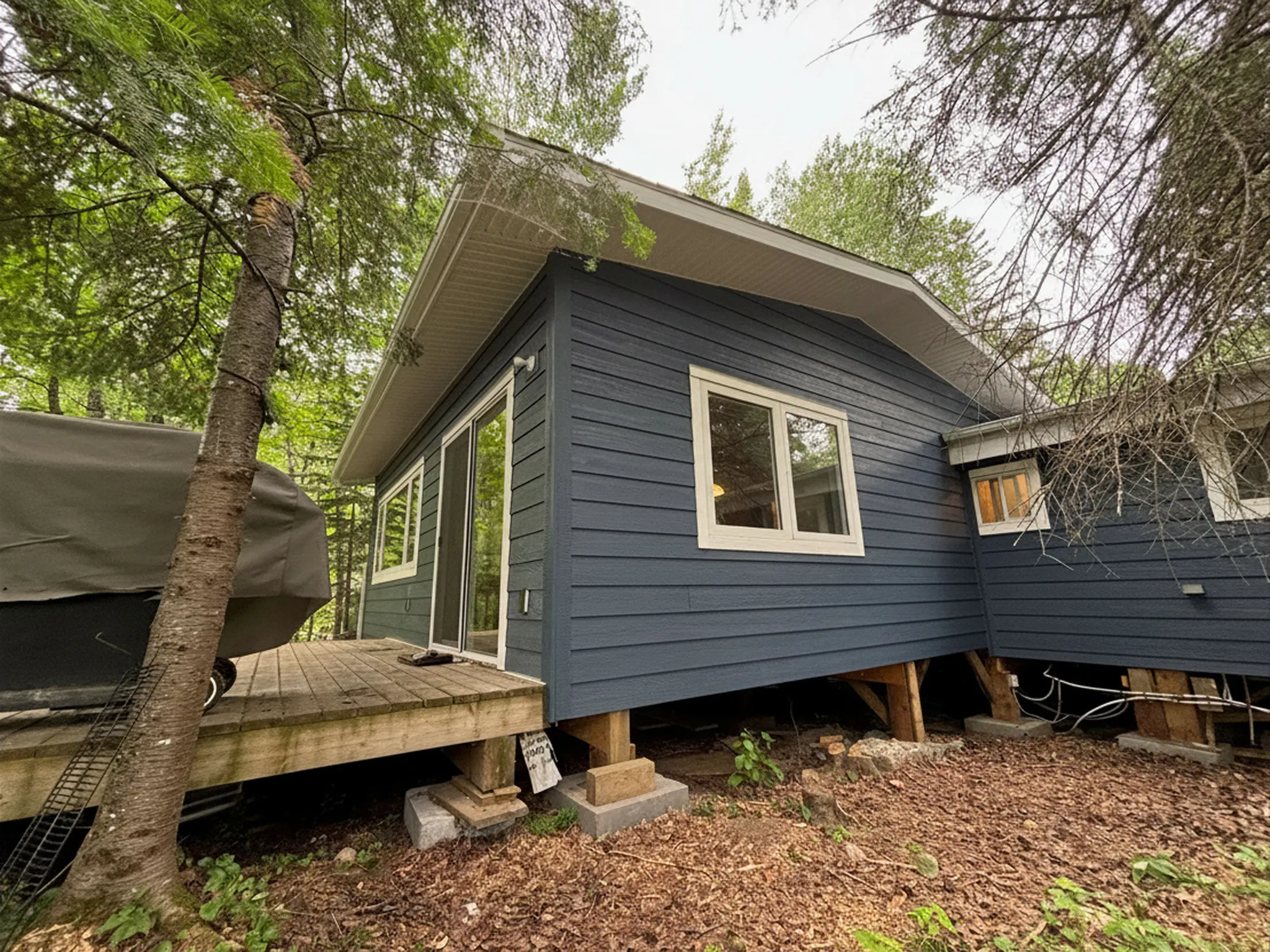 Portfolio photograph 11