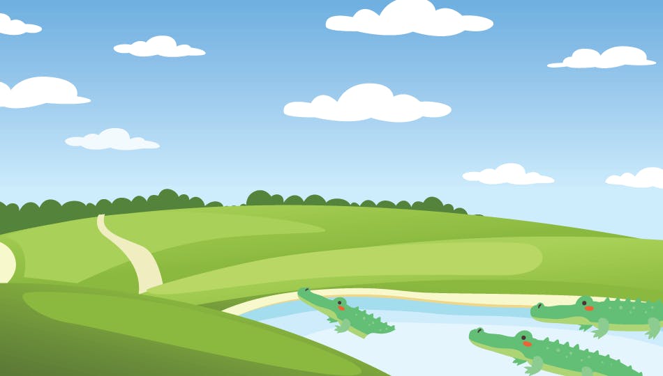 Alligator 1