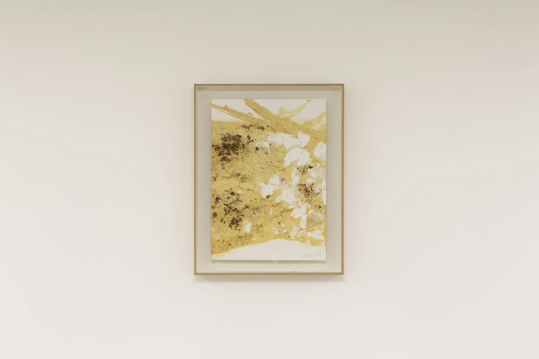 Marble and Flowers (Flesh), 2021, inchiostro di marmo e fiori su carta, 46 x 36 cm
