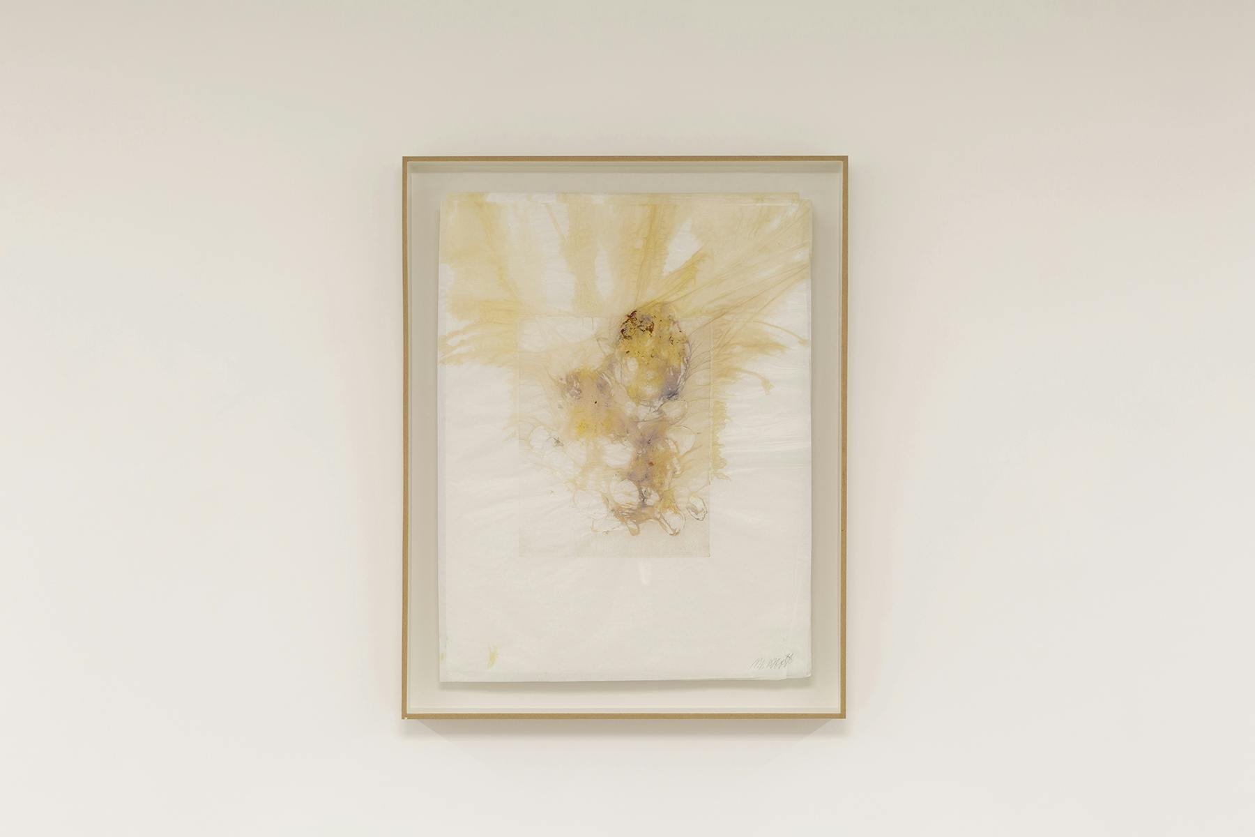 Venus (Tracce di vita), 2021, monostampa, fuori su carta, 46 x 45 cm