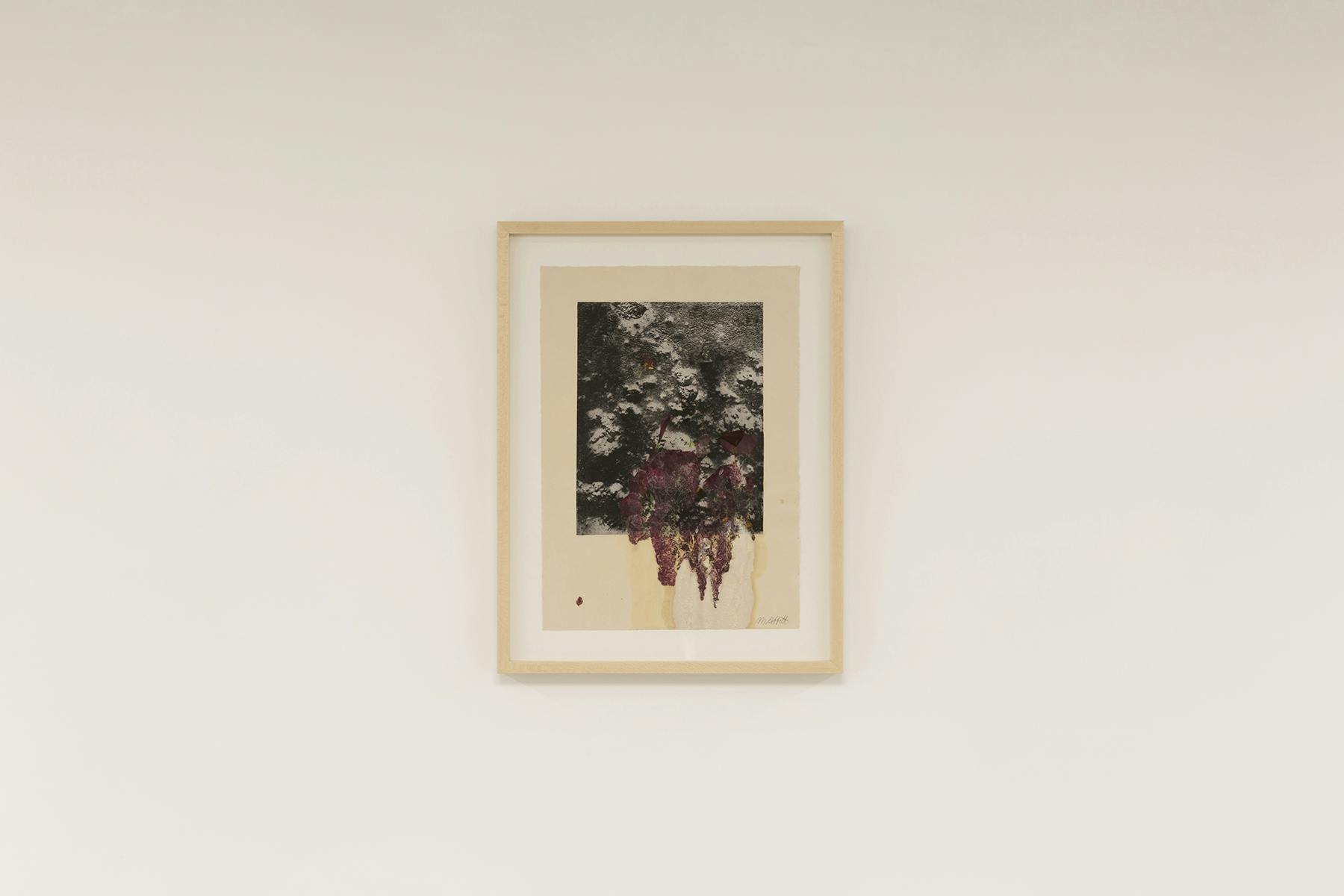Flesh, Flowers, and Venus 1, 2021, monostampa, stampa alla gomma e fiori su carta, 45 x 34 cm