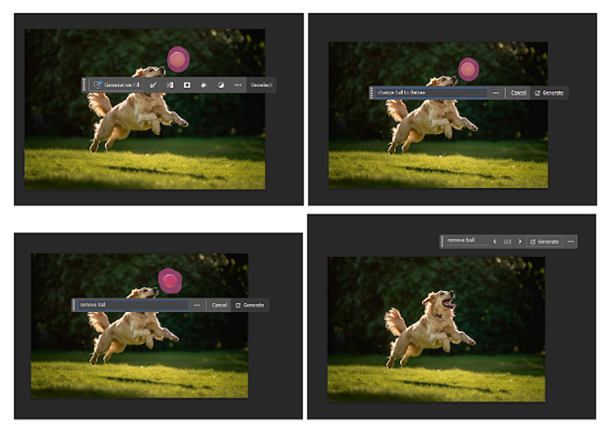 Four-step visual showing Adobe Photoshop's Generative Fill removing a pink ball from a photo of a dog mid-air—demonstrating AI image editing.