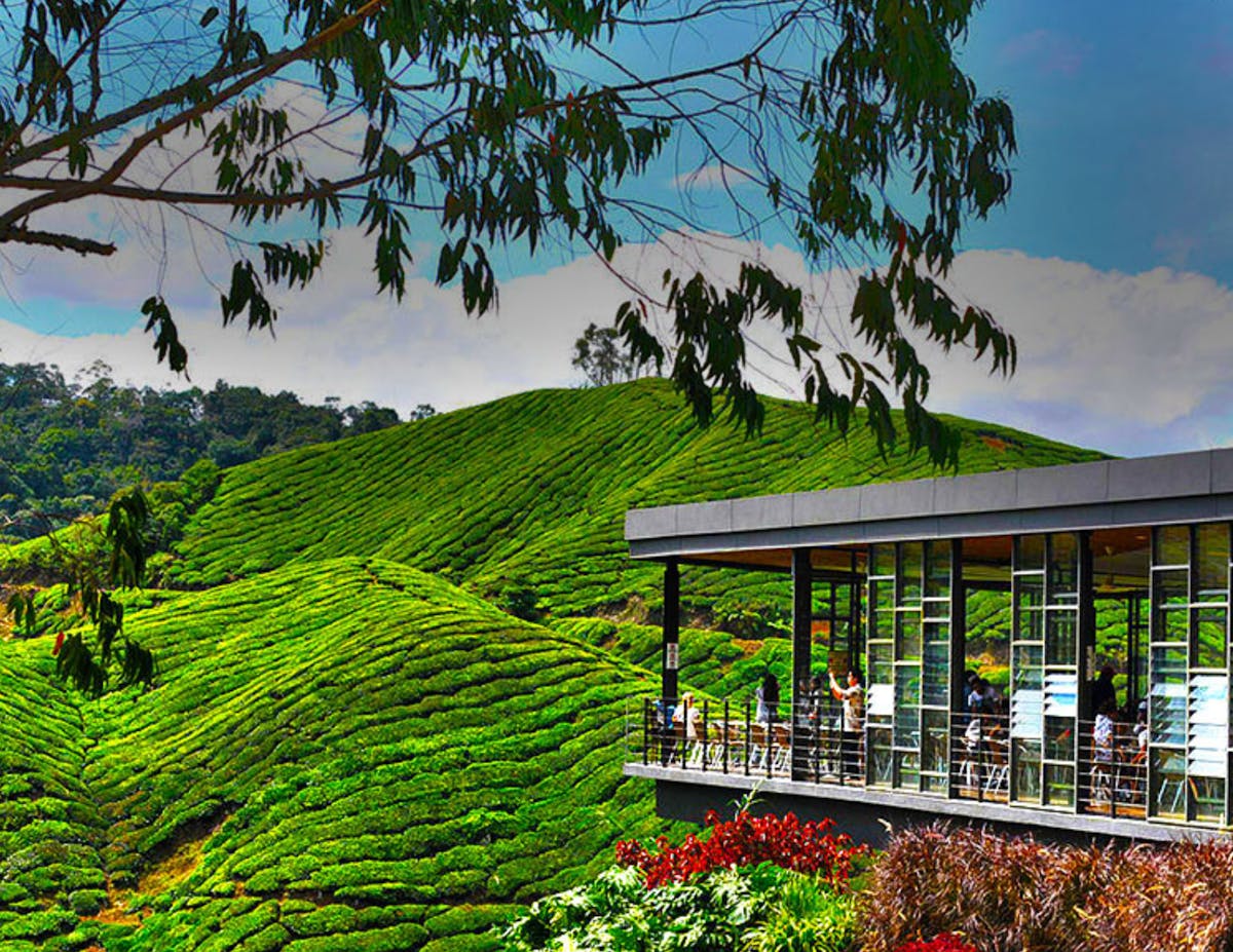Cameron Highlands