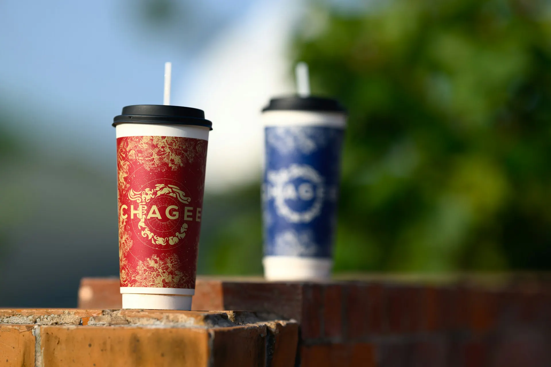 Every Coffee & Bubble Tea Loyalty Programme in Singapore Worth Joining (Free Tier Only)