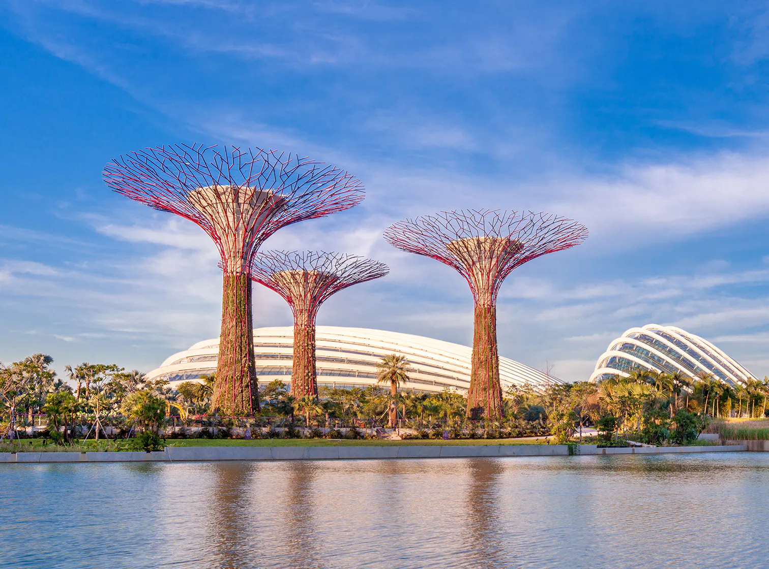 Free Things in Singapore That Most People Don't Know Exist