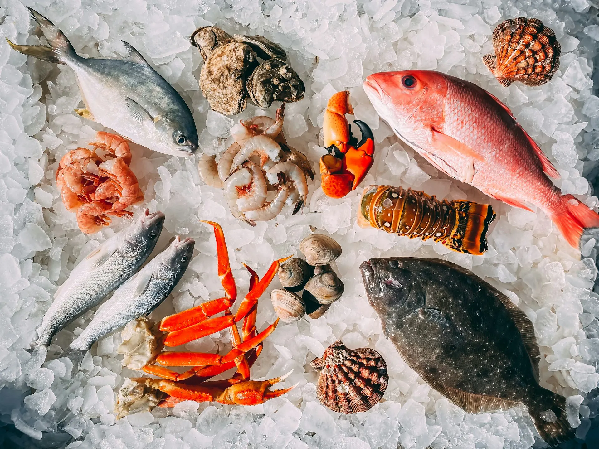 Best Seafood Deals & Crab Promotions in Singapore 2026