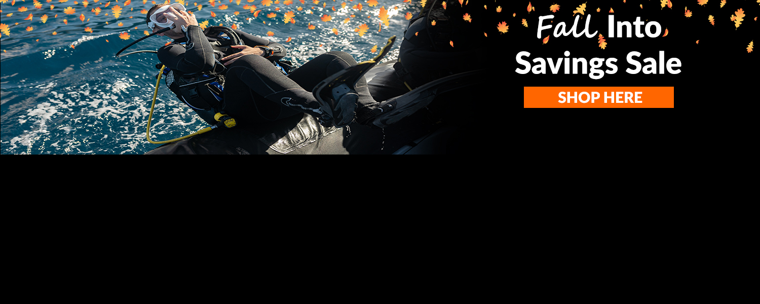 Fall into Savings Sale Web Banner 