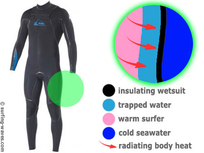 Wet suit and deals gear