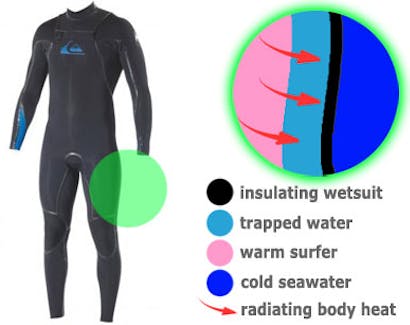 How to choose a wetsuit for water sports. We help you find the