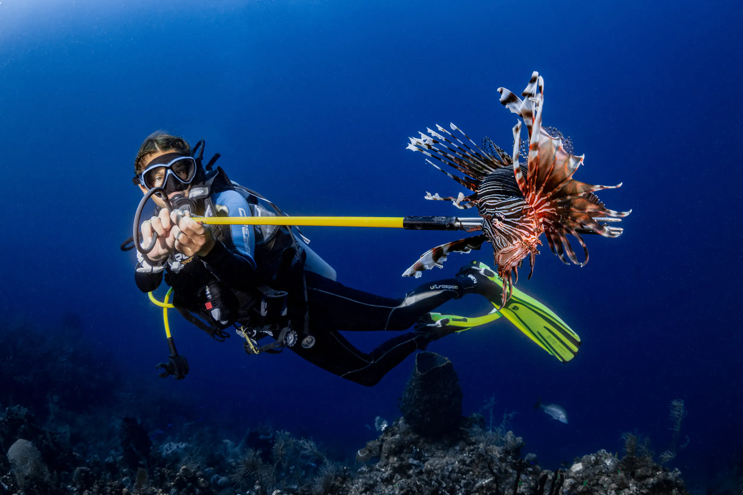 Scuba Diver holding a pole spear with a skewered lionfish on the end.