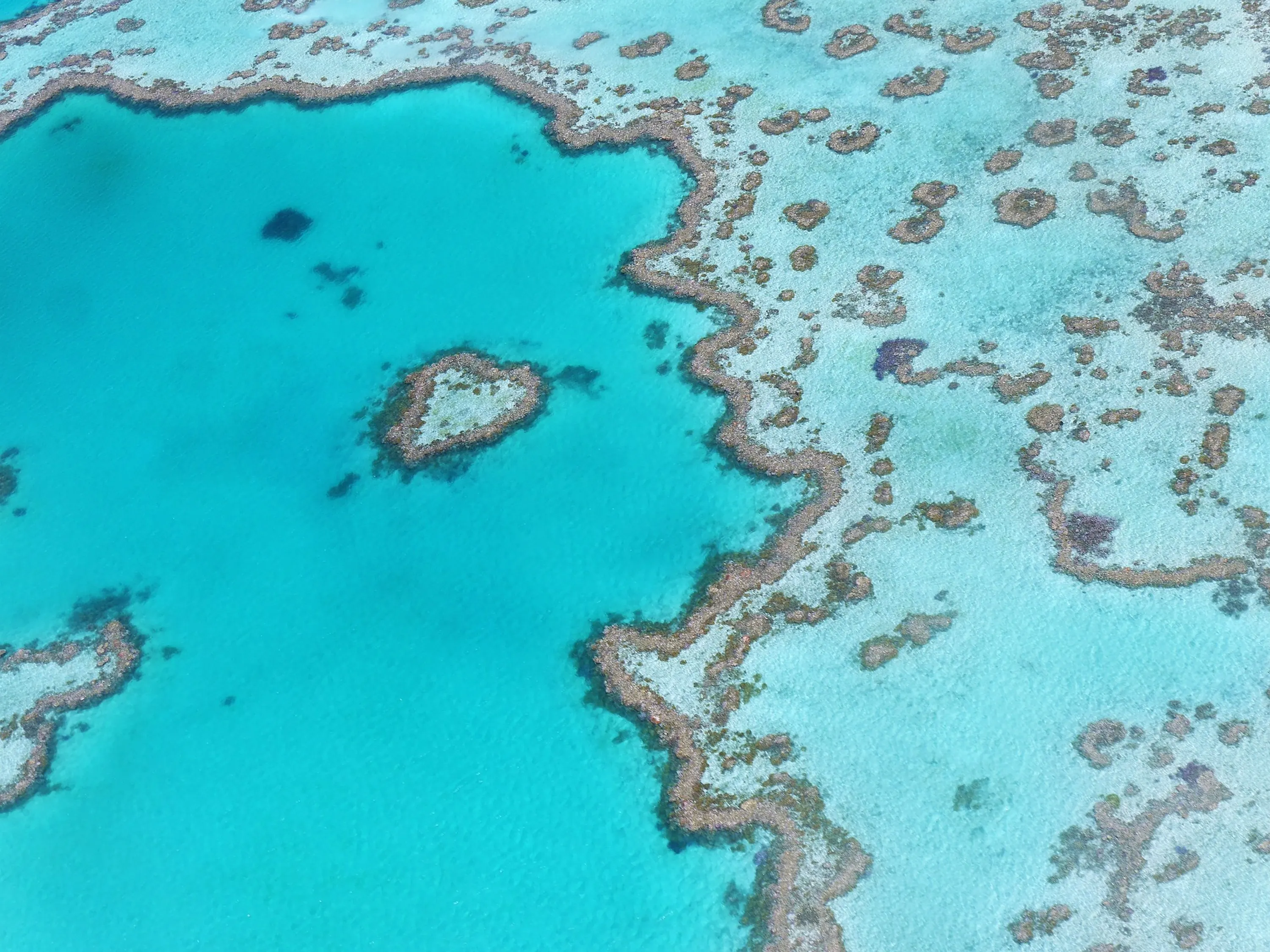 coral reef - aerial view