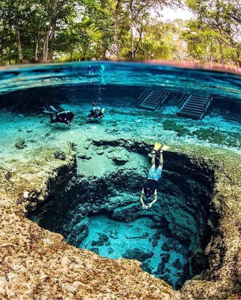 Springs in Florida : diving in Crystal River and the Devil's Den