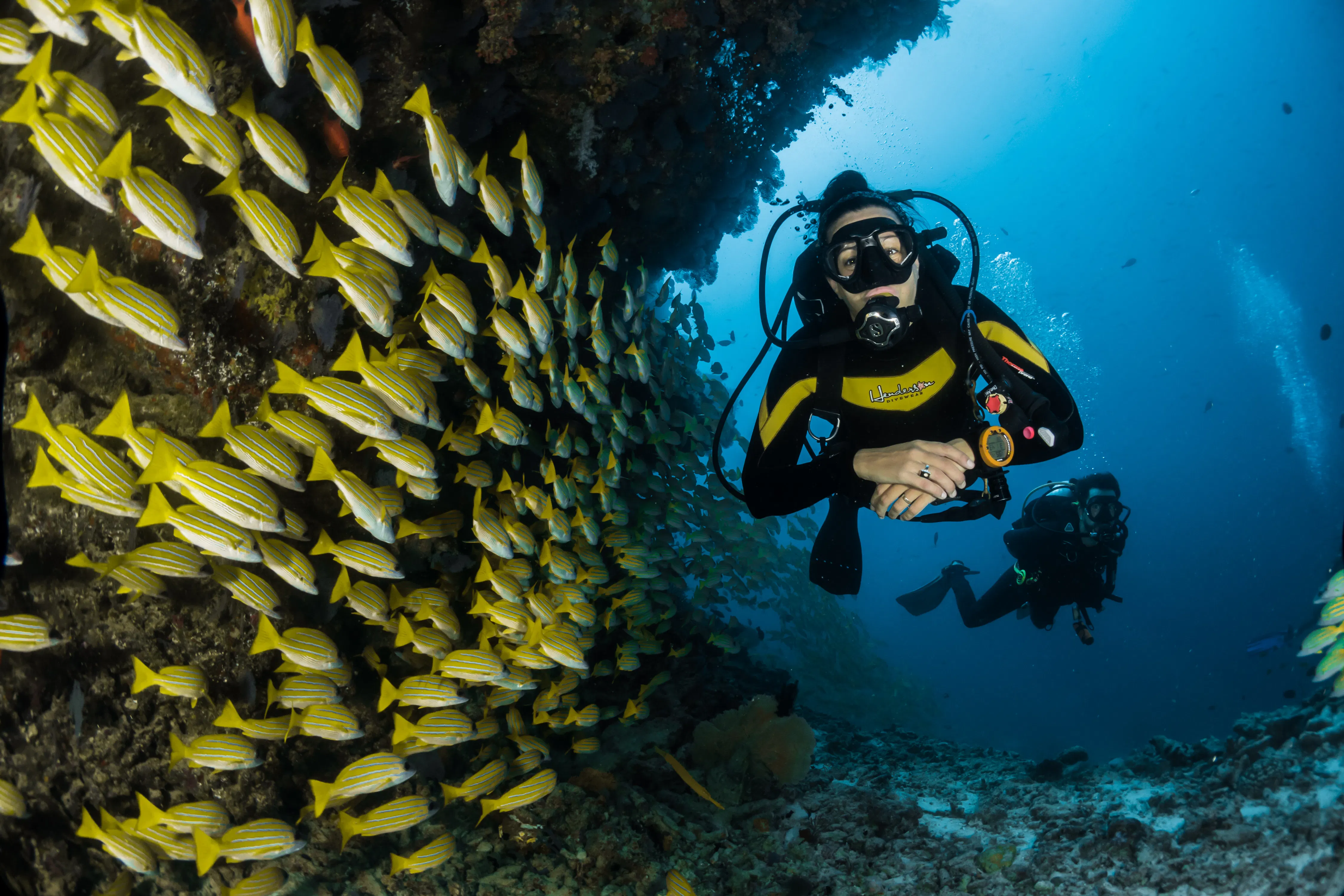Scuba divers swimming next to a school of fish.